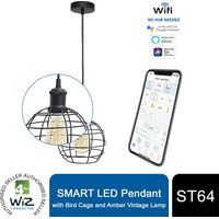 4lite WiZ PENDANT with Bird Cage and ST64 Amber Vintage Lamp