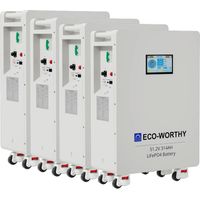 ECO-WORTHY 48V 314Ah LiFePO4 Batterie 64,3kWh Energiespeicher und Leistungsschalter 200A PACE BMS RS485/CAN/RS232 für die Notstromversorgung zu Hause, netzunabhängige Anwendungen, Solaranlagen(4 pc)
