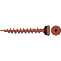 Apolo Mea® Isola Animale Piastra Vite Ips 80 Ramato Contenuto: 50 Pezzi