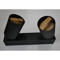 Applique plafonnier 2 spots noir mat 45x248x132mm LED 2x10.4W 3000K 1104lm IP20 Spy On 2 Delta Light