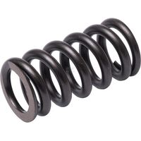 Molla di compressione WALTERSCHEID 1169998