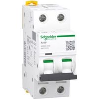Schneider Electric – Disjoncteur bipolaire 2P 10A courbe C – Pouvoir de coupure 36 kA – Isolation 500V – A9F77210