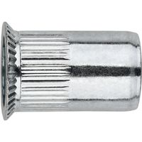 TR-AV - DADO RIVETTABILE. TESTA SFOGLIATA 08X19,0 ( 250 pz.)
