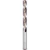 Alpen Hss Pro Bohrer 1,00 mm.