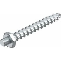 Multipack OBO BRAND.-SCHRAUBA.6X55 SW10+M6 (MMS-PLUS ST 6X55) - 100 Stück