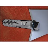 Nylon-Dübel Fix-n-06, Packung mit 100 Stück
