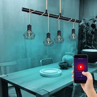 Lampada da soffitto a pendolo app lampada a gabbia di controllo vocale DIMMERABILE in un set che include lampade a LED RGB