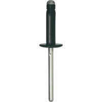 rivet expansé tête large noir ø 4,8 x 19,8 mm bouclier et carrosserie