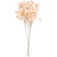 1 feuille d'eucalyptus