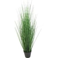 Graminée Fétuque artificielle en pot H 86 cm