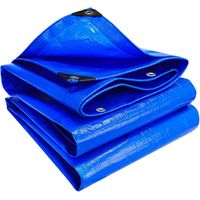 Bâche imperméable et résistante multi-usages - Polyéthylène/PE, œillets antirouille, résistante aux déchirures - Bleue 2 x 2 m