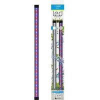 CIANO CLN5 rampe led blanche et RGB 1,5W + transfo pour nexus Betta Life 5C et Diamond 14C CIANO