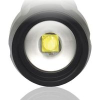 LINTERNA EVERACTIVE FL300+