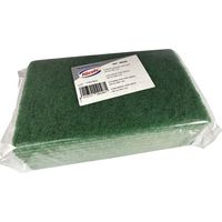 Tampon Abrasif Vert Pro X10 Haute Abrasivité Professionnelle - Nicols France
