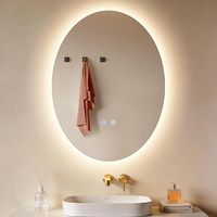 GBLY Miroir de salle de bain ovale LED 60x80 cm mural IP44 tactile désembuage lumière réglable 3000K-6500K