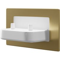 ProofVision Brushed Brass In-Wall Twin Electric Toothbrush Charger - PV11P-B-FR