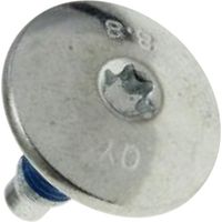 Ersatzteil - Riemenscheibenschraube M10 - - CANDY, HOOVER, HAIER, SABA, THOMSON, IBERNA, ZEROWATT, OTSEIN, TERZISMO, JINLING