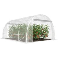 Serra a Tunnel 3x4x2 m con Porte Avvolgibili, Telaio in Acciaio e Copertura in PE Anti-UV, Trasparente