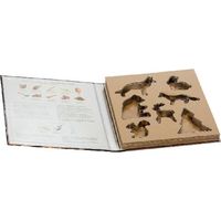 ANDREA HOUSE CC22053 Set 7 Corta Galletas 24,5X27,5X3 - ref: CC22053