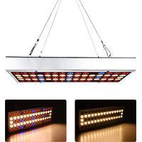 25W LED grow light, can be connected in series – For indoor use, greenhouses, germination, full spectrum, height adjustable, low power consumption, European standard