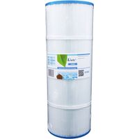 Filtro per acqua per spa Darlly SC856 / C-6310 / PWWDFX100