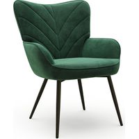 COLAMY Moderner Stuhl mit Blattmuster – Schlichtes und Natürliches Design, Vielseitig für Wohnzimmer und Büro, Grün