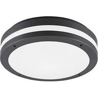 Plafonnier exterieur Rita anthracite