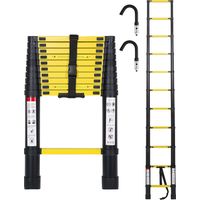 Randaco Échelle télescopique escabeau Pro 3,2m noire avec crochets, 150kg, antidérapante