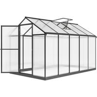 Serre de jardin Aluminium, polycarbonate Transparent 303x183x195 cm
