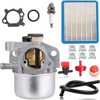 Carburateur pour Briggs & Stratton 799871 799866 790845 796707 794304 Moteur Toro Recycler 22'' Craftsman Tondeuse à gazon Pièces avec filtre à air Ligne de carburant Ampoule d'amorçage