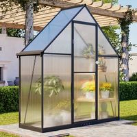BIRCHTREE 6X2FT Polycarbonate Greenhouse Walk-In Green House Aluminium Frame