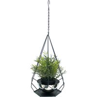DanDiBo Pot de fleurs Intérieur Métal Mur Plantes suspendues 59 cm 96095 S avec pot 6 coins Pendentif pour plantes Pendentif pour fleurs Pot de fleurs Pot suspendu