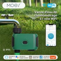 Programmateur d'Arrosage WiFi Intelligent 1 Voie - Minuterie d'Irrigation Automatique avec Contrôle Vocal (Alexa/Google), Retard de Pluie & Étanchéité IP55 pour Jardin, Pelouse et Potager