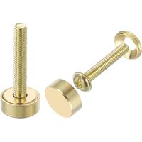 16Pcs Vis Décoratives en Laiton avec Capuchons, 12 mm Vis pour Miroir avec Capuchon, Clous de Fixation pour Meubles Décoratifs, Couleur Or