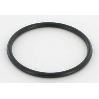 O-Ring G45 ETESIA ET27838