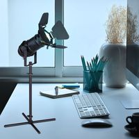 Smart Tischleuchte verstellbar Nachttischlampe Schlafzimmer Leselampe schwarz Tisch, Metall, App Steuerung CCT, 1x RGB LED 4,5W 290Lm, LxBxH 27,5x24x48,5 cm