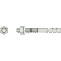 Rawl Ankerbolzen 10x150 mm 50 Stück