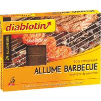 Diablotin Allume-Barbecue Cubes Bois Compressé Étui de 24 Allumeurs