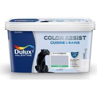 Peinture Color Resist Cuisine & Bains Satin Galet Poli 2 L - Dulux Valentine