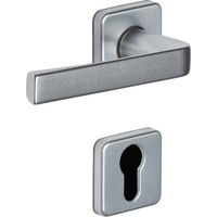 Ensemble Rosace Kaza Argent Serrure à Clé Intégrée Robuste - Assa Abloy