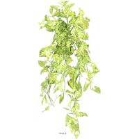 Chute de syngonium artificiel H 80 cm Vert