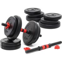 LUXTRI Kurzhantel Set 20 kg mit 12 Zement Hantelscheiben, 2 Hantelstangen gerändelt Sternverschluss Hantel Set verschiedene Gewichte robustes Dumbbell Set mit verstellbaren Hanteln