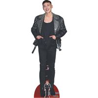 Figurine en carton - Olly Alexander - Pop Star - Haut 175 cm
