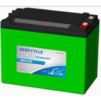 LEOCH LDC12-55 12V 55AH BATTERIA AGM