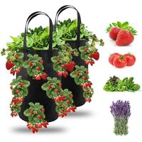 2er-Pack Erdbeer-Pflanzsäcke. Hängende Erdbeer-Pflanzsäcke für den Garten mit 13 Löchern. Pflanzsack für Erdbeeren, Kräuter und Tomaten – 3 Gallonen (2er-Pack – Schwarz)