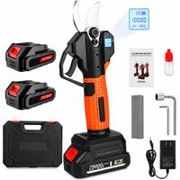 Sécateur Électrique Brushless 45mm, Écran LCD, 2 Batteries