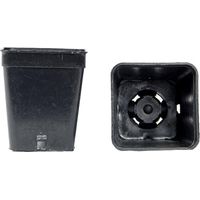 Vasi quadrati colore nero 5x5x6 cm (n.10 pezzi), ditta Bamaplast