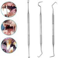 Professional Dental Tools, Stainless Steel Dog Teeth Scaler and Scraper, 3 Pack Stainless Steel Dog Teeth Cleaning Tool