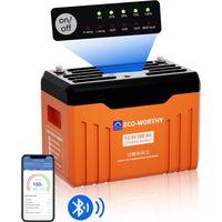 ECO-WORTHY Batterie Lithium 12V 314Ah LiFePO4 Bluetooth avec écran, batterie lifepo4 avec 200A BMS protection basse température et max. 15000 cycles,4019Wh 12V pour Camping-Car,Panneau Solaire