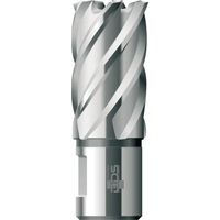 Kernbohrer kurz KBK HSS Schaft Weldon 39/30mm BDS